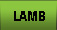 Our all natural organic grass fed beef and lamb from Marin County bay area